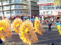 carnivalnice
